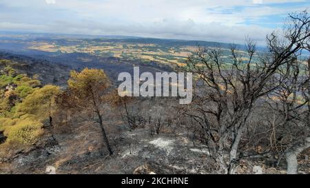 Vigili del fuoco e volontari stanno lavorando per fermare il fuoco selvaggio nelle contee di Anoia e Conca de Barberà, vicino a Barcellona il 25 e 26 luglio 2021, in Catalogna, Spagna. (Foto di Albert Llop/NurPhoto) Foto Stock