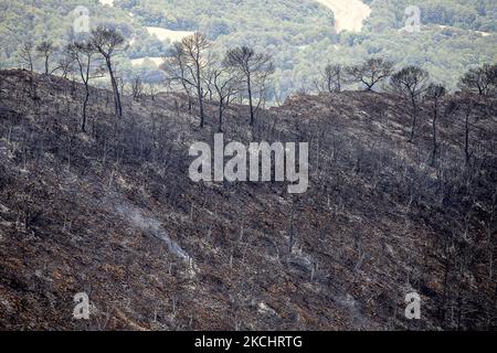 Vigili del fuoco e volontari stanno lavorando per fermare il fuoco selvaggio nelle contee di Anoia e Conca de Barberà, vicino a Barcellona il 25 e 26 luglio 2021, in Catalogna, Spagna. (Foto di Albert Llop/NurPhoto) Foto Stock