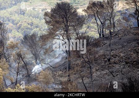 Vigili del fuoco e volontari stanno lavorando per fermare il fuoco selvaggio nelle contee di Anoia e Conca de Barberà, vicino a Barcellona il 25 e 26 luglio 2021, in Catalogna, Spagna. (Foto di Albert Llop/NurPhoto) Foto Stock
