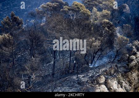 Vigili del fuoco e volontari stanno lavorando per fermare il fuoco selvaggio nelle contee di Anoia e Conca de Barberà, vicino a Barcellona il 25 e 26 luglio 2021, in Catalogna, Spagna. (Foto di Albert Llop/NurPhoto) Foto Stock