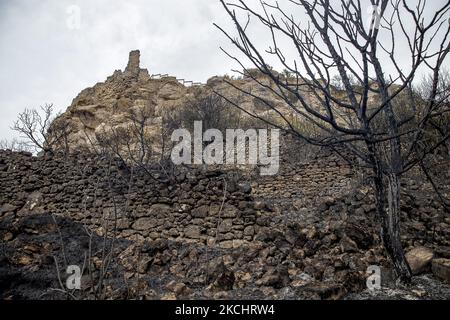Vigili del fuoco e volontari stanno lavorando per fermare il fuoco selvaggio nelle contee di Anoia e Conca de Barberà, vicino a Barcellona il 25 e 26 luglio 2021, in Catalogna, Spagna. (Foto di Albert Llop/NurPhoto) Foto Stock