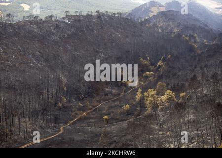 Vigili del fuoco e volontari stanno lavorando per fermare il fuoco selvaggio nelle contee di Anoia e Conca de Barberà, vicino a Barcellona il 25 e 26 luglio 2021, in Catalogna, Spagna. (Foto di Albert Llop/NurPhoto) Foto Stock