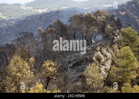 Vigili del fuoco e volontari stanno lavorando per fermare il fuoco selvaggio nelle contee di Anoia e Conca de Barberà, vicino a Barcellona il 25 e 26 luglio 2021, in Catalogna, Spagna. (Foto di Albert Llop/NurPhoto) Foto Stock