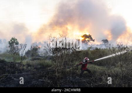 Gli incendi di peatland si sono verificati mercoledì 28 luglio 2021 nel villaggio di Sungai Rambutan, Regency di Ogan Ilir, Sumatra meridionale. Questa zona di terra bruciata alle 4,00:00 (Foto di Sigit Prasetya/NurPhoto) Foto Stock