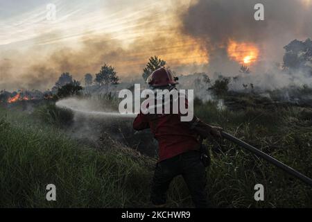 Gli incendi di peatland si sono verificati mercoledì 28 luglio 2021 nel villaggio di Sungai Rambutan, Regency di Ogan Ilir, Sumatra meridionale. Questa zona di terra bruciata alle 4,00:00 (Foto di Sigit Prasetya/NurPhoto) Foto Stock