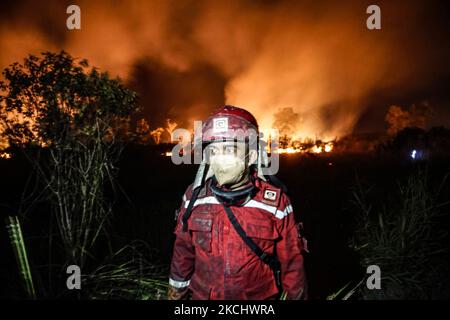 Gli incendi di peatland si sono verificati mercoledì 28 luglio 2021 nel villaggio di Sungai Rambutan, Regency di Ogan Ilir, Sumatra meridionale. Questa zona di terra bruciata alle 4,00:00 (Foto di Sigit Prasetya/NurPhoto) Foto Stock