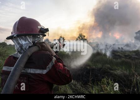 Gli incendi di peatland si sono verificati mercoledì 28 luglio 2021 nel villaggio di Sungai Rambutan, Regency di Ogan Ilir, Sumatra meridionale. Questa zona di terra bruciata alle 4,00:00 (Foto di Sigit Prasetya/NurPhoto) Foto Stock