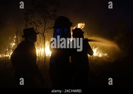 Gli incendi di peatland si sono verificati mercoledì 28 luglio 2021 nel villaggio di Sungai Rambutan, Regency di Ogan Ilir, Sumatra meridionale. Questa zona di terra bruciata alle 4,00:00 (Foto di Sigit Prasetya/NurPhoto) Foto Stock