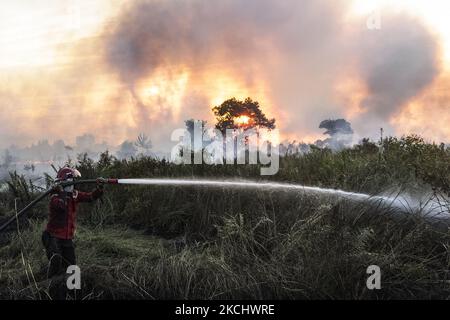 Gli incendi di peatland si sono verificati mercoledì 28 luglio 2021 nel villaggio di Sungai Rambutan, Regency di Ogan Ilir, Sumatra meridionale. Questa zona di terra bruciata alle 4,00:00 (Foto di Sigit Prasetya/NurPhoto) Foto Stock