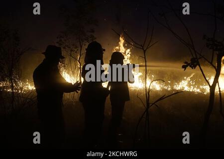 Gli incendi di peatland si sono verificati mercoledì 28 luglio 2021 nel villaggio di Sungai Rambutan, Regency di Ogan Ilir, Sumatra meridionale. Questa zona di terra bruciata alle 4,00:00 (Foto di Sigit Prasetya/NurPhoto) Foto Stock