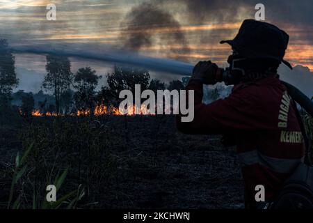 Gli incendi di peatland si sono verificati mercoledì 28 luglio 2021 nel villaggio di Sungai Rambutan, Regency di Ogan Ilir, Sumatra meridionale. Questa zona di terra bruciata alle 4,00:00 (Foto di Sigit Prasetya/NurPhoto) Foto Stock