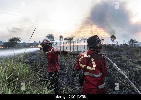 Gli incendi di peatland si sono verificati mercoledì 28 luglio 2021 nel villaggio di Sungai Rambutan, Regency di Ogan Ilir, Sumatra meridionale. Questa zona di terra bruciata alle 4,00:00 (Foto di Sigit Prasetya/NurPhoto) Foto Stock