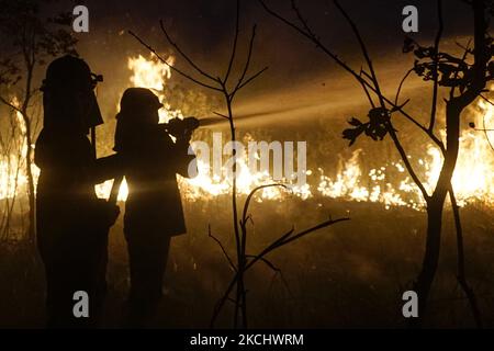 Gli incendi di peatland si sono verificati mercoledì 28 luglio 2021 nel villaggio di Sungai Rambutan, Regency di Ogan Ilir, Sumatra meridionale. Questa zona di terra bruciata alle 4,00:00 (Foto di Sigit Prasetya/NurPhoto) Foto Stock