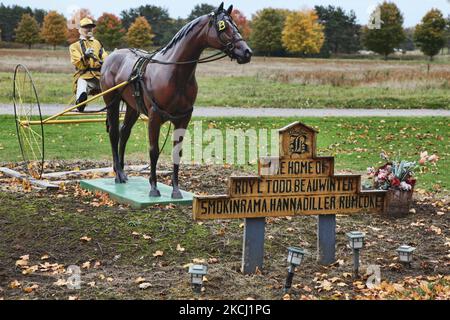 Statua di un jockey in sella a un cavallo da corsa su un sulky di fronte al Big B Ranch di Aurora, Ontario, Canada, il 13 ottobre 2009. Il Big B Ranch è noto per la produzione di molti famosi cavalli da corsa vincenti. (Foto di Creative Touch Imaging Ltd./NurPhoto) Foto Stock