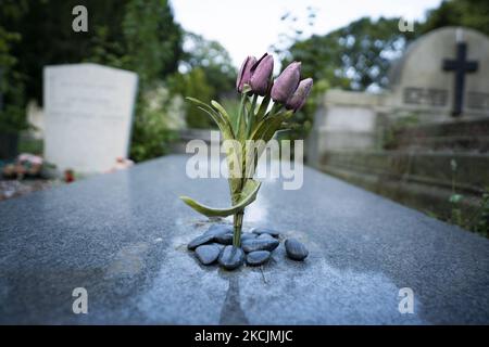 Vista del cimitero romano-cattolico di Buitenveldert ad Amsterdam, nei Paesi Bassi, il 14 agosto 2021. (Foto di Oscar Gonzalez/NurPhoto) Foto Stock