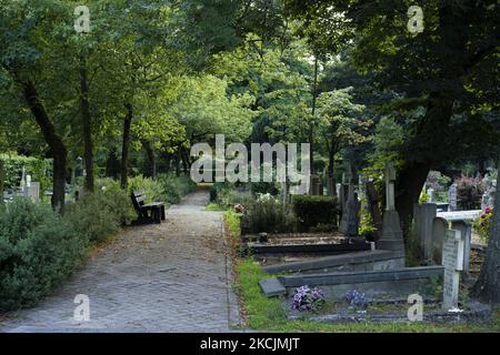 Vista del cimitero romano-cattolico di Buitenveldert ad Amsterdam, nei Paesi Bassi, il 14 agosto 2021. (Foto di Oscar Gonzalez/NurPhoto) Foto Stock