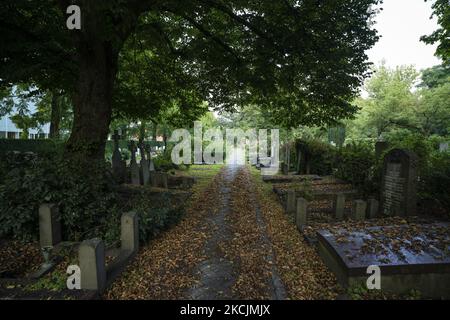 Vista del cimitero romano-cattolico di Buitenveldert ad Amsterdam, nei Paesi Bassi, il 14 agosto 2021. (Foto di Oscar Gonzalez/NurPhoto) Foto Stock