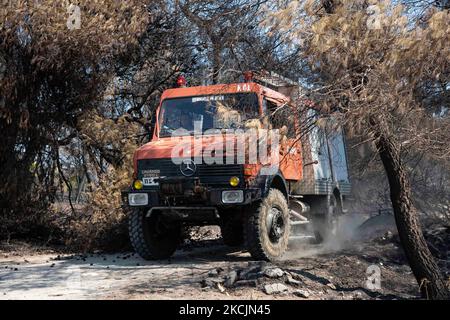 I vigili del fuoco spengono piccole fiamme nella foresta vicino Agia Anna. Le conseguenze degli incendi in Grecia, mentre nella foresta bruciano ancora poche fiamme. In Grecia si è avuto un enorme disastro ambientale. Foreste, pini, oliveti, aziende, alberghi, case, veicoli, ed animali sono stati bruciati. L'incendio si è concluso dopo una pioggia notturna, mentre i vigili del fuoco greci dei giorni precedenti, i volontari locali, i vigili del fuoco stranieri, gli aerei e gli elicotteri in cui si combatteva per estinguere il fuoco selvaggio nell'isola greca di Evia (Eubea) - quasi 100.000 ettari di foreste e terreni agricoli hanno burne Foto Stock