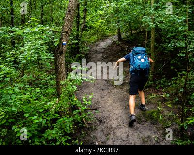 Un uomo sta scalando il Wilhelminaberg nel comune di Landgraaf, durante la nuova rotta, il Sentiero Olandese della montagna intorno al sud del Limburgo, nei Paesi Bassi, il 10th agosto 2021. (Foto di Romy Arroyo Fernandez/NurPhoto) Foto Stock