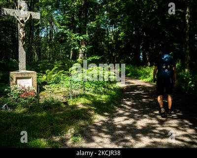 Un camminatore passa accanto a una statua di Gesù Cristo, durante la nuova rotta, il Sentiero Olandese della montagna intorno al sud del Limburgo, nei Paesi Bassi, il 11th agosto 2021. (Foto di Romy Arroyo Fernandez/NurPhoto) Foto Stock
