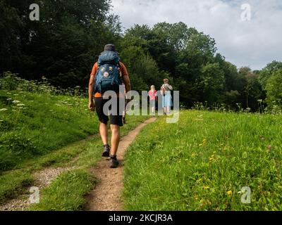 Un uomo sta camminando intorno ad un pendio di montagna, durante il nuovo percorso, il Sentiero Olandese della montagna intorno al sud del Limburgo, nei Paesi Bassi, il 12th agosto 2021. (Foto di Romy Arroyo Fernandez/NurPhoto) Foto Stock