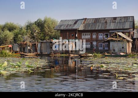 Case galleggianti riposano sulle acque posteriori lungo il Lago dal. Per aggirare le leggi che impediscono la proprietà della terra molti residenti di Kashmiri vivono nelle case galleggianti lungo le acque posteriori del lago dal a Srinagar, Kashmir, India, il 26 giugno 2010. Sebbene sia illegale, il governo indiano di solito non agisce contro coloro che vivono sulla terra galleggiante artificiale sul lago dal. (Foto di Creative Touch Imaging Ltd./NurPhoto) Foto Stock