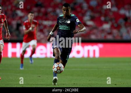 Cody Gakpo del PSV Eindhoven in azione durante la partita di calcio di prima tappa della UEFA Champions League tra SL Benfica e PSV Eindhoven allo stadio Luz di Lisbona, Portogallo, il 18 agosto 2021. (Foto di Pedro FiÃºza/NurPhoto) Foto Stock