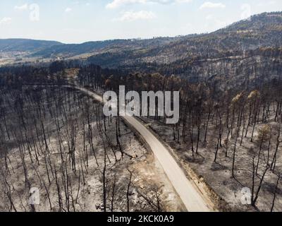 Vista panoramica aerea a volo d'uccello di un drone mostra devastanti conseguenze di incendi boschivi nell'isola di Evia in Grecia dopo l'incendio che durò quasi 10 giorni bruciando foreste, pini, oliveti, case, villaggi, imprese, veicoli, campeggio, reti elettriche, animali ecc , conducendo molte evacuazioni di villaggi. EUBEA Island, Grecia il 2021 agosto (Foto di Nicolas Economou/NurPhoto) Foto Stock