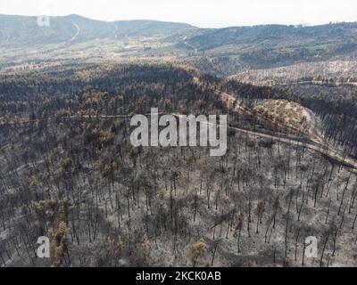 Vista panoramica aerea a volo d'uccello di un drone mostra devastanti conseguenze di incendi boschivi nell'isola di Evia in Grecia dopo l'incendio che durò quasi 10 giorni bruciando foreste, pini, oliveti, case, villaggi, imprese, veicoli, campeggio, reti elettriche, animali ecc , conducendo molte evacuazioni di villaggi. EUBEA Island, Grecia il 2021 agosto (Foto di Nicolas Economou/NurPhoto) Foto Stock