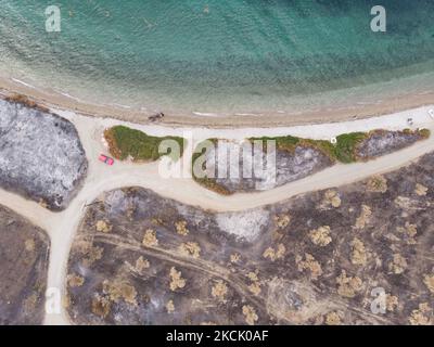 Zona bruciata che ha raggiunto la spiaggia con le barche bruciate. Vista panoramica aerea a volo d'uccello di un drone mostra devastanti conseguenze di incendi boschivi nell'isola di Evia in Grecia dopo l'incendio che durò quasi 10 giorni bruciando foreste, pini, oliveti, case, villaggi, imprese, veicoli, campeggio, reti elettriche, animali ecc , conducendo molte evacuazioni di villaggi. EUBEA Island, Grecia il 2021 agosto (Foto di Nicolas Economou/NurPhoto) Foto Stock