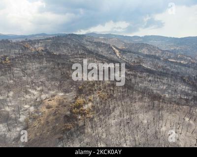 Foresta bruciata vicino a Rovies. Vista panoramica aerea a volo d'uccello di un drone mostra devastanti conseguenze di incendi boschivi nell'isola di Evia in Grecia dopo l'incendio che durò quasi 10 giorni bruciando foreste, pini, oliveti, case, villaggi, imprese, veicoli, campeggio, reti elettriche, animali ecc , conducendo molte evacuazioni di villaggi. EUBEA Island, Grecia il 2021 agosto (Foto di Nicolas Economou/NurPhoto) Foto Stock