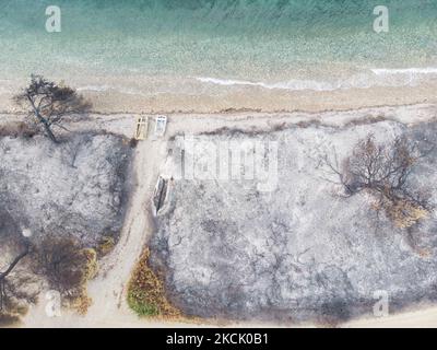 Zona bruciata che ha raggiunto la spiaggia con le barche bruciate. Vista panoramica aerea a volo d'uccello di un drone mostra devastanti conseguenze di incendi boschivi nell'isola di Evia in Grecia dopo l'incendio che durò quasi 10 giorni bruciando foreste, pini, oliveti, case, villaggi, imprese, veicoli, campeggio, reti elettriche, animali ecc , conducendo molte evacuazioni di villaggi. EUBEA Island, Grecia il 2021 agosto (Foto di Nicolas Economou/NurPhoto) Foto Stock