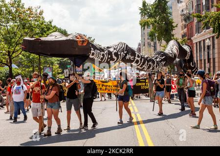 Una marcia contro il gasdotto Enbridge's Line 3, sponsorizzato da Shut Down DC e Extinction Rebellion, attraversa il centro città. Il gasdotto passa attraverso le terre del trattato e le acque di testa del fiume Mississippi per trasportare il petrolio di sabbie bituminose dal Canada. Il suo impatto ecologico e climatico nei prossimi 50 anni sarà paragonabile alla costruzione e al funzionamento di 50 centrali a carbone. Il 23 agosto 2021 a Washington DC, USA. (Foto di Allison Bailey/NurPhoto) Foto Stock