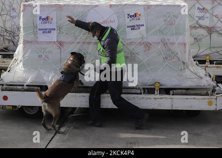 Un binomio canino effettua un'ispezione presso l'aeroporto internazionale di Toluca, Stato del Messico, durante lo sbarco di una spedizione di un milione e 750 mila vaccini Moderna contro COVID-19, provenienti da Memphis, Tennessee, Donato dal governo degli Stati Uniti in Messico per continuare con il piano nazionale di vaccinazione contro il virus SARS-COV-2 per ridurre i contagi, le ospedalizzazioni e le morti causate dalla pandemia. Il 24 agosto 2021 a Città del Messico. (Foto di Gerardo Vieyra/NurPhoto) Foto Stock