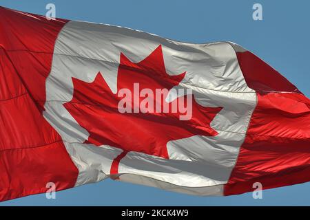 La bandiera nazionale del Canada. Martedì 23 agosto 2021, a Edmonton, Alberta, Canada. (Foto di Artur Widak/NurPhoto) Foto Stock