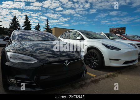 Due auto Tesla parcheggiate nel centro di Edmonton. Giovedì 26 agosto 2021, a Edmonton, Alberta, Canada. (Foto di Artur Widak/NurPhoto) Foto Stock