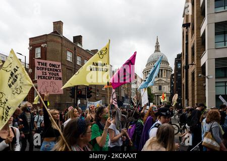 Gli attivisti del clima della ribellione di estinzione hanno una marcia nazionale per i diritti degli animali a Londra, Gran Bretagna, 28 agosto 2021. Il gruppo d'azione sul clima Extinction Rebellion (XR) ha organizzato più azioni nell'arco di due settimane a partire dall'agosto 23rd 2021, con l'obiettivo di sconvolgere la città di Londra e di spingersi oltre, e di mettere il cambiamento climatico in cima all'agenda in vista del vertice del COP26 che si terrà nel Regno Unito alla fine di quest'anno. (Foto di Maciek Musialek/NurPhoto) Foto Stock