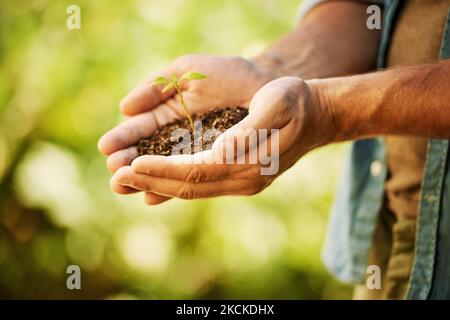 Ogni piantina è un inizio fresco. Un coltivatore non identificabile che tiene un mucchio di suolo con una piantina che cresce da esso. Foto Stock