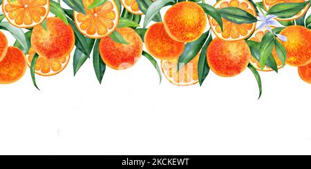 Arance su un ramo e fette acquerello bordo senza cuciture. Agrumi trafilati a mano con foglie. Banner di frutta infinita. Per imballaggi e cartoline desi Foto Stock