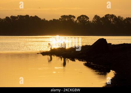 La gente pesca al lago la mattina presto, mentre il sole si riflette sull'acqua. Ora magica alba estiva con colori caldi del cielo e il sole su Kerkini con uccelli, cavalli, pescatori locali di pesca macchiati come silhouette, al Parco Nazionale del Lago nella regione di Serres nel nord della Grecia. Il lago artificiale Kerkini è una zona umida unica, un Parco Nazionale e protetta dalla Convenzione di Ramsar come zona umida con migliaia di uccelli, tra cui la foresta rara e protetta lungo il fiume, in quanto si stanno sviluppando importanti idrobiosfere che sono di grande importanza internazionale e di grande accettazione, la principale fonte d'acqua Foto Stock