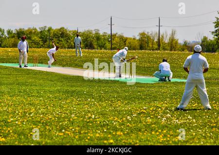 Gli uomini indiani e pakistani giocano un amichevole India verses Pakistan cricket match a Whitchurch-Stouffville, Ontario, Canada, il 16 maggio 2010. Anche all'estero la rivalità dell'India verso il Pakistan fa risapendere un'enorme folla di sostenitori per ciascuna parte. (Foto di Creative Touch Imaging Ltd./NurPhoto) Foto Stock