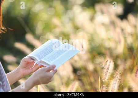 Donna cristiana che riposa mentre legge una bibbia in una tranquilla foresta di canne in un giorno di autunno soleggiato Foto Stock