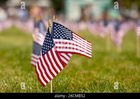 2.977 bandiere americane decorano il National Mall al Campidoglio, una per ogni vittima degli attacchi del World Trade Center del 11th settembre. (Foto di Allison Bailey/NurPhoto) Foto Stock