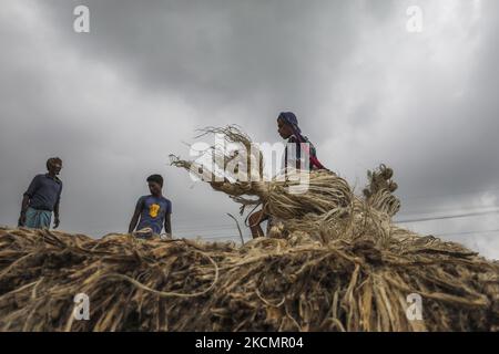 I lavoratori caricano la iuta su una barca sulla riva del fiume Padma in un mercato rurale a Munshigonj il 17 settembre 2021. (Foto di Ahmed Salahuddin/NurPhoto) Foto Stock