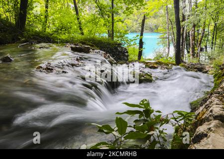 Cascate del Parco Nazionale dei Laghi di Plitvice in Croazia il 15 settembre 2021. Nel 1979, il Parco Nazionale dei Laghi di Plitvice è stato iscritto nella lista del Patrimonio Mondiale dell'UNESCO, grazie alla sua straordinaria e pittoresca serie di laghi di tufo, grotte, collegate da cascate. (Foto di Beata Zawrzel/NurPhoto) Foto Stock