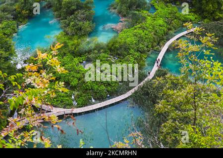 Una vista su una passeggiata in legno che conduce i turisti attraverso il Parco Nazionale dei Laghi di Plitvice in Croazia il 15 settembre 2021. Nel 1979, il Parco Nazionale dei Laghi di Plitvice è stato iscritto nella lista del Patrimonio Mondiale dell'UNESCO, grazie alla sua straordinaria e pittoresca serie di laghi di tufo, grotte, collegate da cascate. (Foto di Beata Zawrzel/NurPhoto) Foto Stock