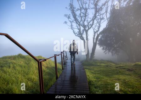 Persone che camminano nella nebbia, la cima del Monte Eden, Auckland. Foto Stock