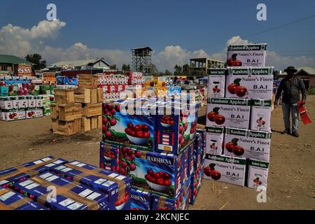 I lavoratori di Kashmiri trasportano scatole di mele da caricare su camion in un mercato all'ingrosso di frutta a Sopore, distretto di baramulla, Jammu e Kashmir, India, circa 54kms km a nord di Srinagar, il 28 settembre 2021. Jammu & Kashmir vanta di circa il 80% di quota di mela totale prodotta nel country.Â la coltivazione di mele e la sua catena di valore è uno dei principali soggiorni dell'economia rurale con un reddito di circa RS. 1500 crores.Â la produzione di mele è prevalentemente limitata ai distretti di Srinagar, Ganderbal, Budgam, Baramulla, Kupwara, Anantnag e Shopian nella provincia del Kashmir. (Foto di Nasir Kachroo/NurPhoto) Foto Stock