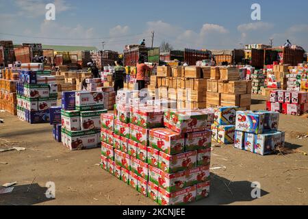 I lavoratori di Kashmiri trasportano scatole di mele da caricare su camion in un mercato all'ingrosso di frutta a Sopore, distretto di baramulla, Jammu e Kashmir, India, circa 54kms km a nord di Srinagar, il 28 settembre 2021. Jammu & Kashmir vanta di circa il 80% di quota di mela totale prodotta nel country.Â la coltivazione di mele e la sua catena di valore è uno dei principali soggiorni dell'economia rurale con un reddito di circa RS. 1500 crores.Â la produzione di mele è prevalentemente limitata ai distretti di Srinagar, Ganderbal, Budgam, Baramulla, Kupwara, Anantnag e Shopian nella provincia del Kashmir. (Foto di Nasir Kachroo/NurPhoto) Foto Stock