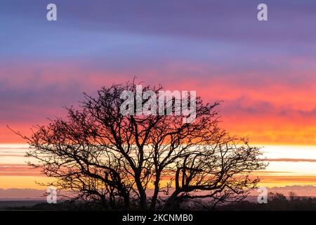 Herne Bay, Kent, Regno Unito. 5 novembre 2022. Il cielo dell'alba sul paesaggio del Kent Sud-Est visto questa mattina dal villaggio di Hillborough vicino a Herne Bay. La vista guarda verso l'area di Sandwich Bay, nascosta dal paesaggio. Credit-Malcolm Fairer, Alamy Live News. Foto Stock